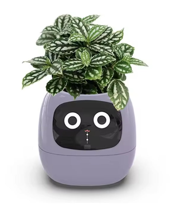Smart Plant Pot – Self-Monitoring Planter with Soil Moisture & Light Sensors for Indoor Gardening